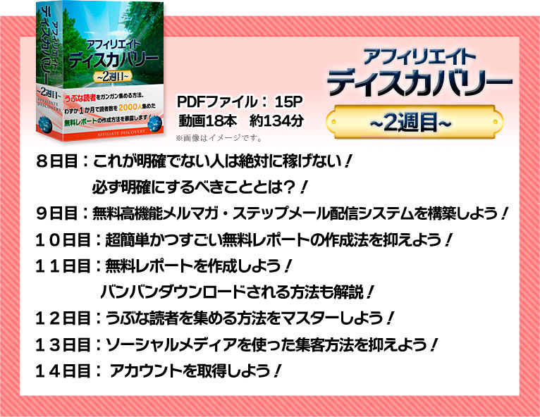 �A�t�B���G�C�g�f�B�X�J�o���[ �]��